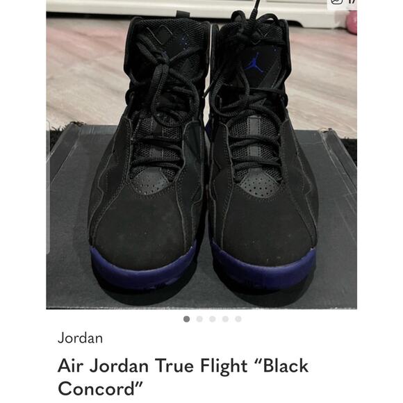 Jordan Other - Air Jordan Concord True Flight Black And Purple Men's Size 11 342964-021